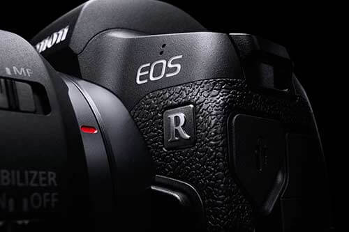 Canon EOS R as a macro shot